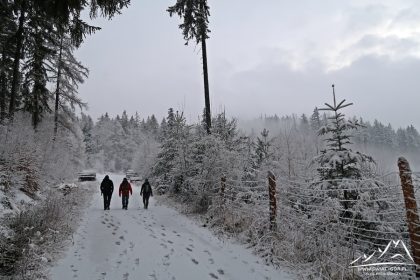W drodze na Lwią Górę.