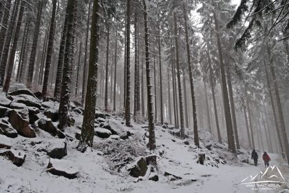 Coraz bliżej Starościńskich Skał.