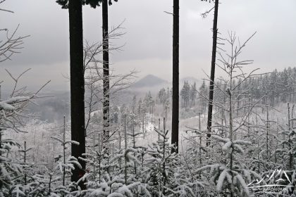 Widok na Sokolik i Krzyżną Górę.