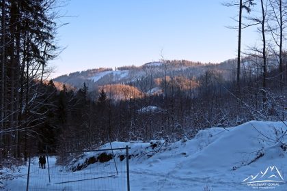 Widok w stronę Jałowca (751 m n.p.m.).