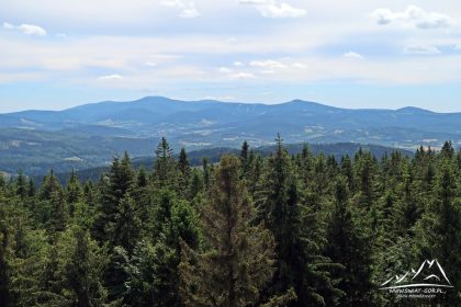 Borówkowa Góra – panorama na Masyw Śnieżnika.
