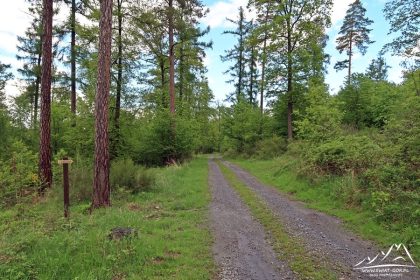 Z lewej widoczna tabliczka kierunkowa.