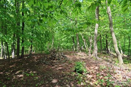 Gajna - wierzchołek.