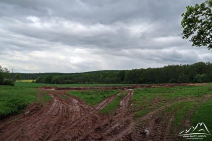 Pierwsze dziś widoki.