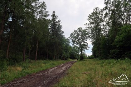 Okolice wiaty odpoczynkowej.