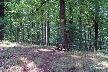 Skiba - wierzchołek.