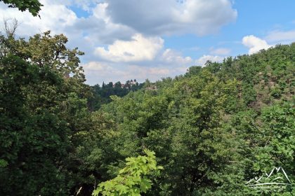 Widok w stronę bramy zamkowej.