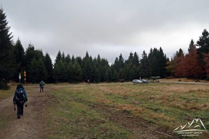 Okolice szczytu Palas (1021 m n.p.m.).