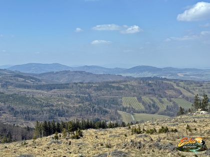 Panorama Sudetów Wschodnich z rejonu Taborskich Skał