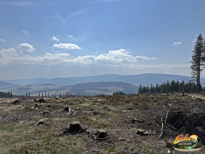 Panorama Wysokiego Jesionika z grani Pricnego Vrchu
