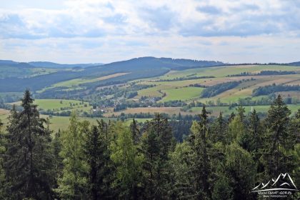 Skały Puchacza - widok w stronę Grodczyna.