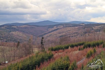 Widok w stronę Medvedi Vrchu i Orlika.