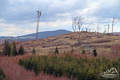 Zbliżenie na Pricny Vrch.