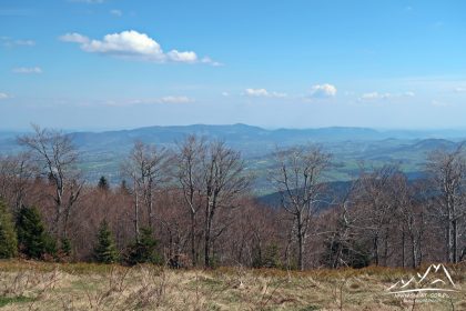 Widok na Sałasz (909 m n.p.m.) oraz Jaworz (918 m n.p.m.)