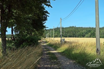 Polną drogą w kierunku naszego celu.