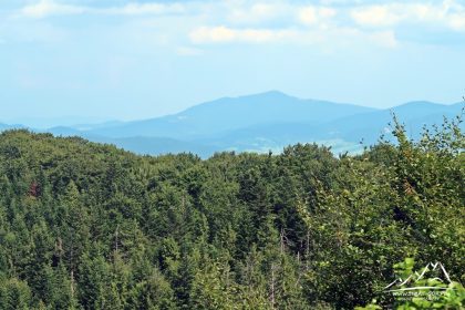 Mogielica (1171 m n.p.m.), najwyższy szczyt Beskidu Wyspowego.