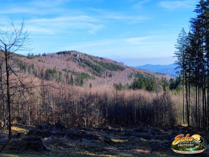 Widok na Skoroš (828 m) podczas podejścia w stronę przełęczy Peklo