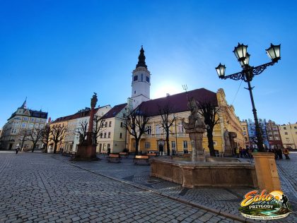Świdnica - Rynek.