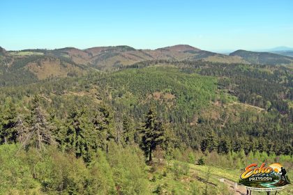 Dalsza część Gór Kamiennych.