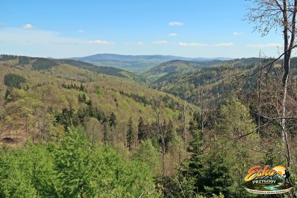 Widok na Góry Sowie z drogi powrotnej.