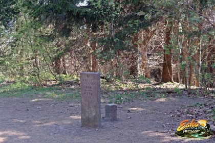 Waligóra (936 m n.p.m.) – wierzchołek najwyższego szczytu Gór Kamiennych w lesie