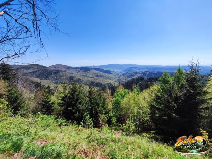 Panorama z Ruin Owczarni