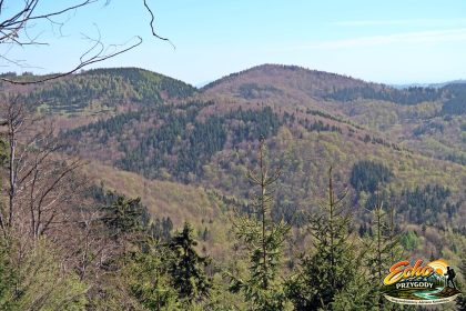 Turzyna (894 m n.p.m.), tuż przed nią Gomólnik (826 m.) i dalej Jeleniec (901 m.)