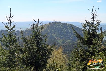 Ruprechticki Szpicak widziany ze szlaku