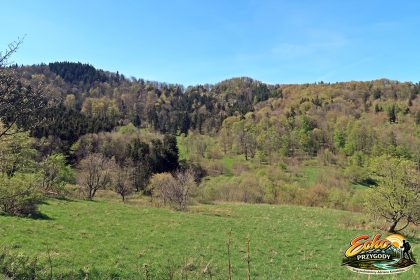 Widok na Jeleniec i Rogowiec podczas podejścia przełęcz